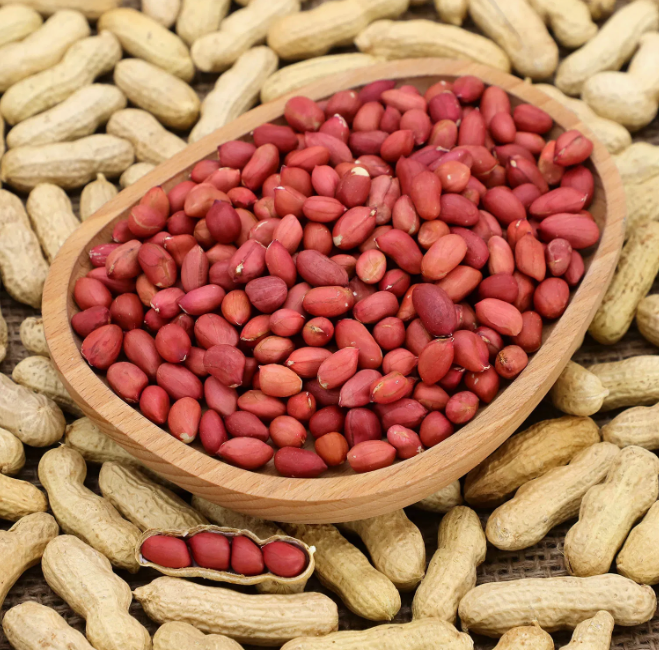 Ground Nut